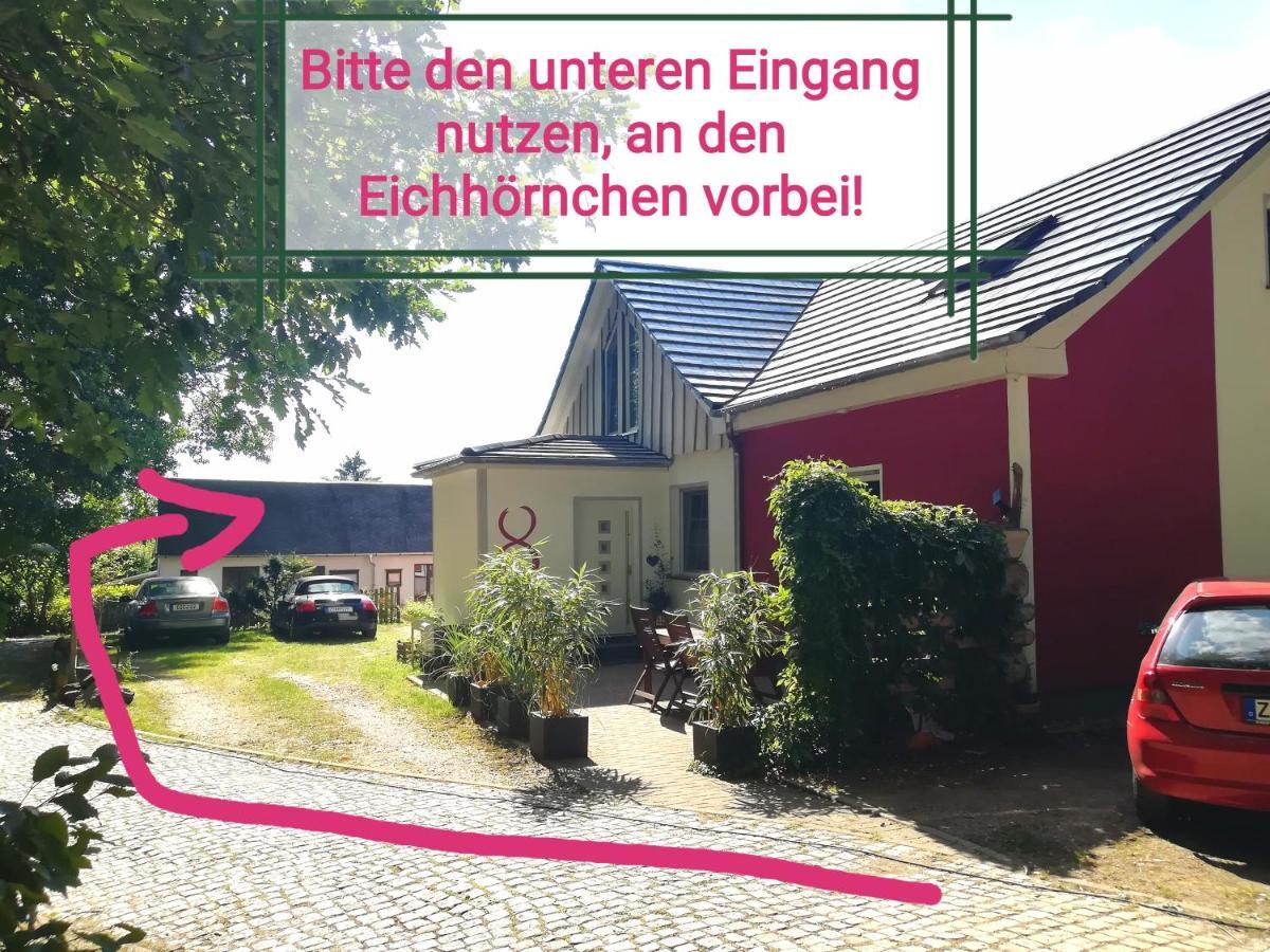 Kleines Studio Im Eichenwaeldchen, 1 Zimmer Kueche Bad Friedrichsgrun 외부 사진