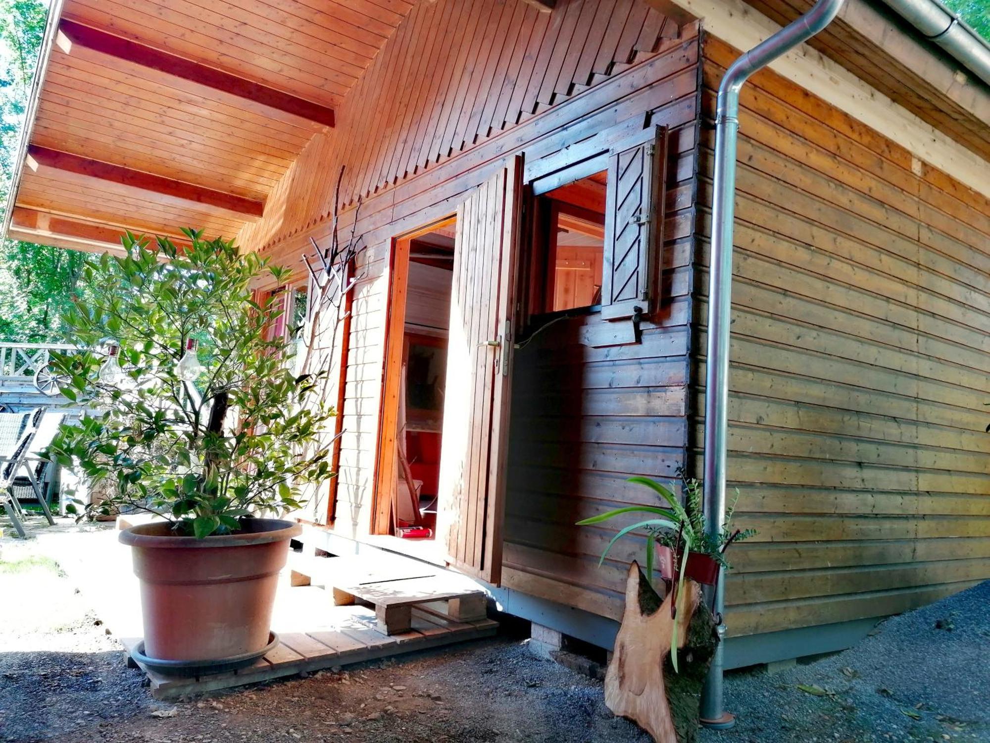 Kleines Studio Im Eichenwaeldchen, 1 Zimmer Kueche Bad Friedrichsgrun 외부 사진